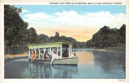 Silver Springs, Florida Kartpostalı