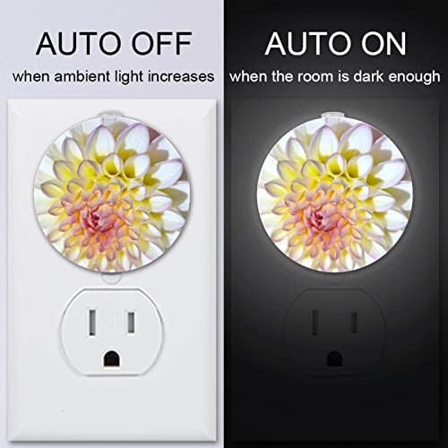 2 Paket Plug-in Gece Lambası LED Gece Lambası Alacakaranlıktan Şafağa Sensörü Çocuk Odası, Kreş, Mutfak, Dahlia Çiçek