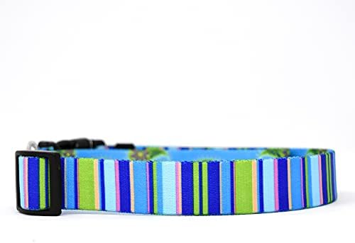 Sarı Köpek Tasarımı Mavi Çizgili Köpek Tasması 3/4 Genişliğinde ve 5' (60) Uzunluğunda, Küçük / Orta