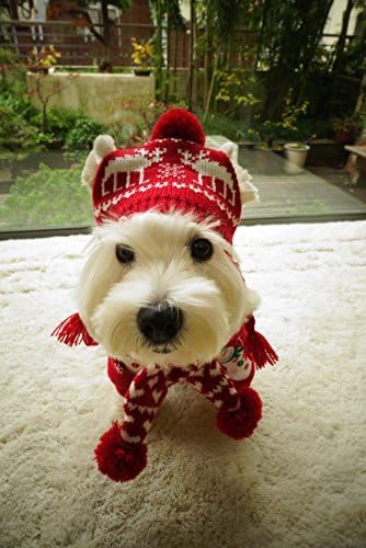 Alemon Pet Noel Tatil Aksesuarları Örgü Noel Ren Geyiği Eşarp ve Şapka Seti için Pet, Orta / Büyük