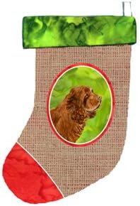 Caroline's Treasures Sussex Spaniel Noel Çorabı, 11 x 18, Çok Renkli