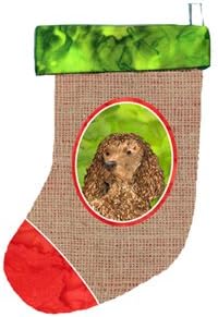 Caroline's Treasures Amerikan Su Spaniel Noel Çorabı, 11 x 18, Çok Renkli